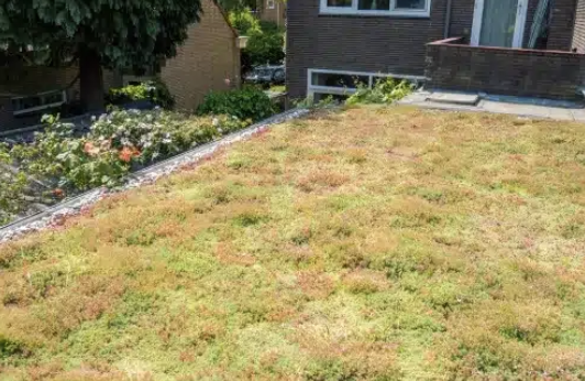 Onderhoud sedumdak: zo blijft jouw groendak in topconditie